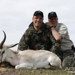 White Springbuck