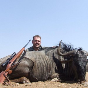 Blue Wildebeest