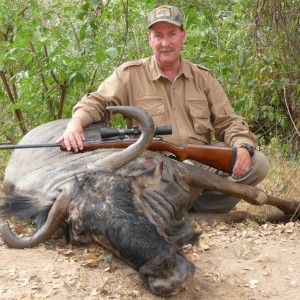 Blue Wildebeest Zim 2010