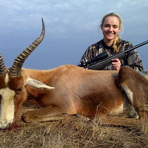 Blesbok