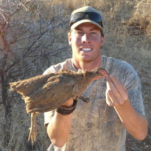 Swainson Francolin hunted with Ozondjahe Hunting Safaris in Namibia