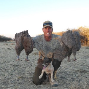 Guineafowls hunted with Ozondjahe Hunting Safaris in Namibia