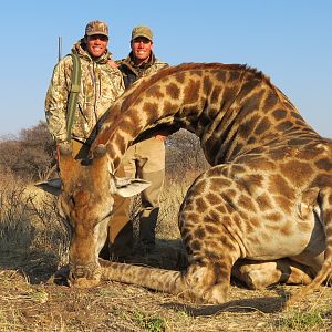 Giraffe hunted with Ozondjahe Hunting Safaris in Namibia