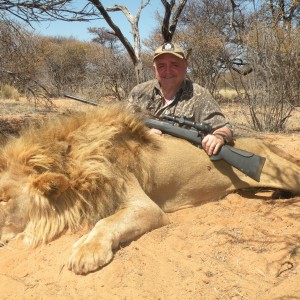 LION SOUTH AFRICAN SAFARI 2012