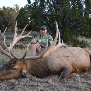New Mexico Elk