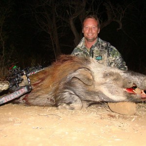 Bushpig With Niel Uys Safaris