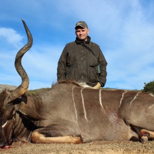 Cape kudu