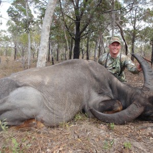 Hunting Asiatic Buffalo in Northern Australia