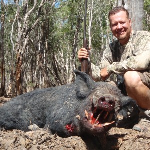 Hunting Boar in Northern Australia