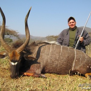 Nyala