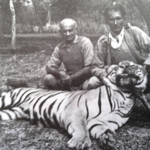 Tiger hunting picture from the British Raj Era