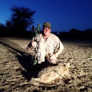 Bowhunting Jackal in Namibia