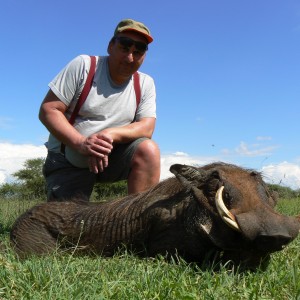 Hunting Warthog in Namibia