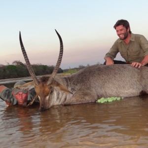 Hunting Waterbuck