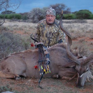 Kudu Bull