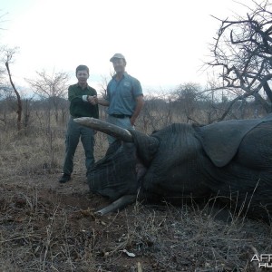 Zimbabwe 2012 7th Elephant