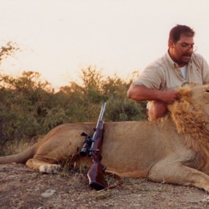 Lion 1995