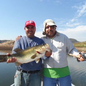 Bass of Sinaloa in Western Mexico