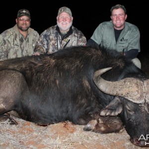 Buffalo hunted with Wintershoek Johnny Vivier Safaris