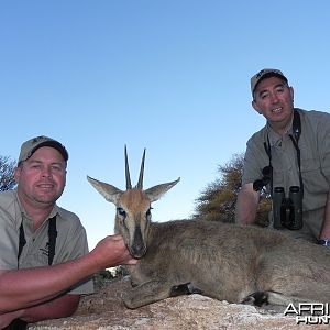 Grey Duiker hunted with Wintershoek Johnny Vivier Safaris