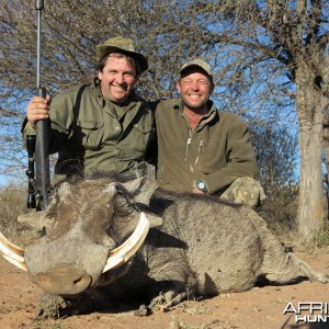 Warthog hunted with Wintershoek Johnny Vivier Safaris