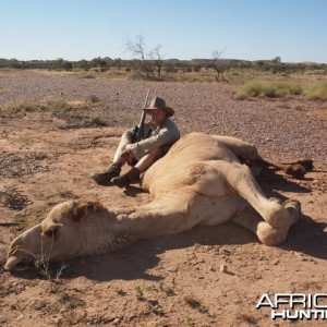 Hunting Camel in the Australian Outback