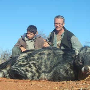 MBUYU SAFARIS - CIVET CAT