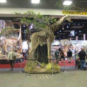 Taxidermy at Safari Club International Convention