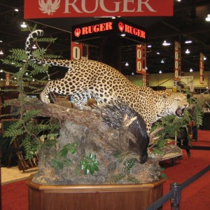 Taxidermy at Safari Club International Convention