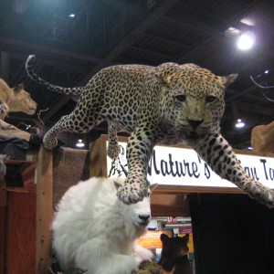 Taxidermy at Safari Club International Convention