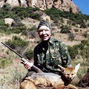 Cape Fox Hunting