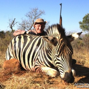 Burchell's Zebra Hunting