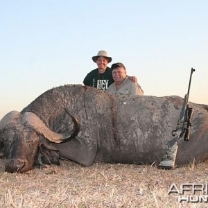 Cape Buffalo