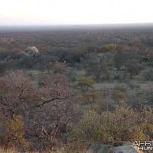 View of Kgaka Safaris