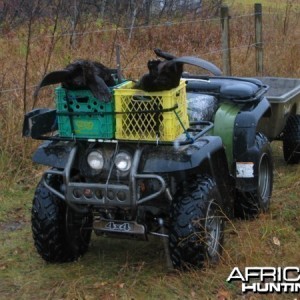 ATV