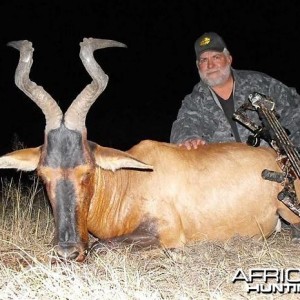 Bowhunting Hartebeest South Africa