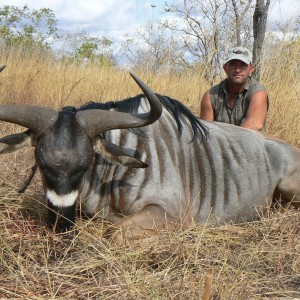 32'' Nyasaland wildebeest Tanzania