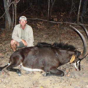 Good 39'' Sable from Selous