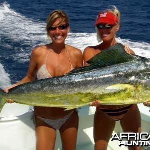 Fishing Bikinis