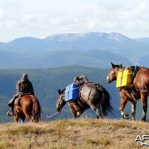 Hunting Big Horn Sheep in Southern British Columbia Canada