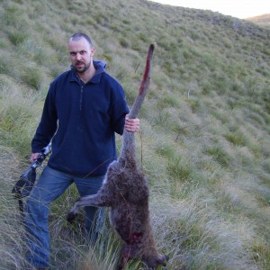 Hunting Wallaby New Zealand