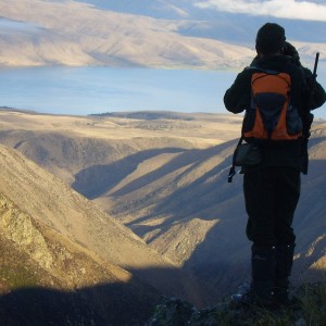 Chamois Hunting in New Zealand