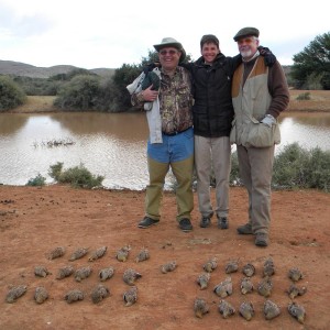 Sandgrouse Hunting