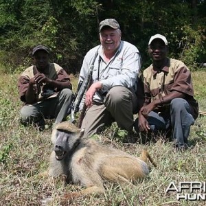 Baboon Tanzania