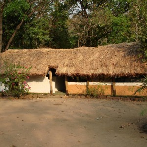 FHO Hunting Camp in CAR