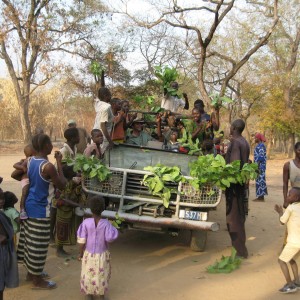 The Chimp is part of the celebration in CAR