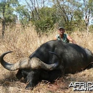 Buffalo from Tanzania - 45 inches