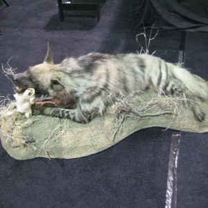 Taxidermy at Safari Club International Convention