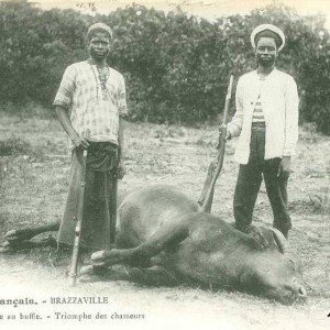Hunting Buffalo Congo