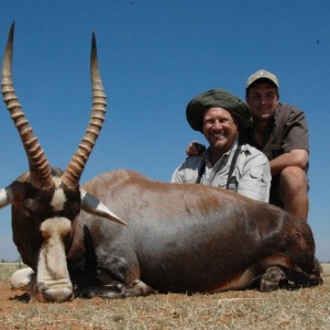 Blesbok